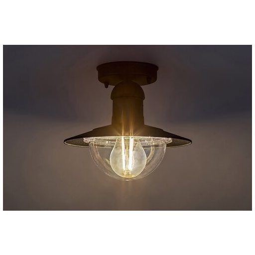 Rábalux Oslo Kültéri lámpa  E27 1x MAX 60 - RAB8716