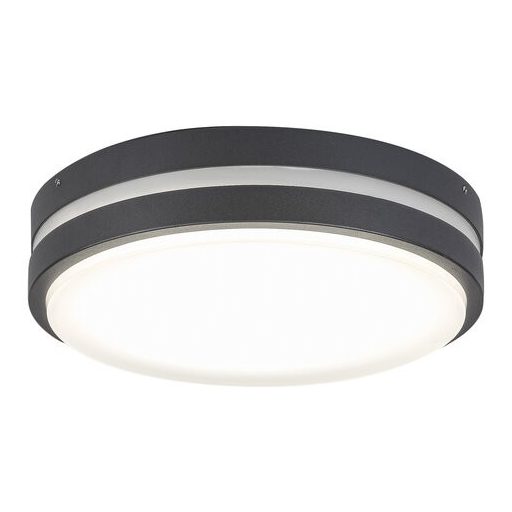 Rábalux Hamburg Kültéri fali lámpa LED 12W 4000K IP44 antracit RAB8848