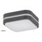 Rábalux Hamburg Kültéri fali lámpa LED 12W 4000K IP44 antracit RAB8850