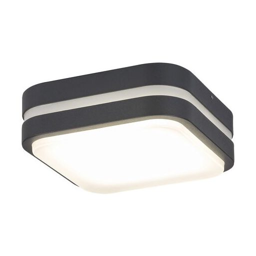 Rábalux Hamburg Kültéri fali lámpa LED 12W 4000K IP44 antracit RAB8850