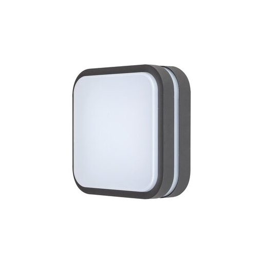 Rábalux Hamburg Kültéri fali lámpa LED 12W 4000K IP44 antracit RAB8850