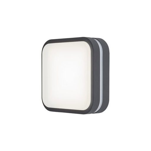 Rábalux Hamburg Kültéri fali lámpa LED 12W 4000K IP44 antracit RAB8850
