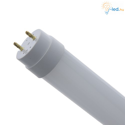 FL 9W LED fénycső T8 G13 60 cm 180° 6500K - RTV0500067